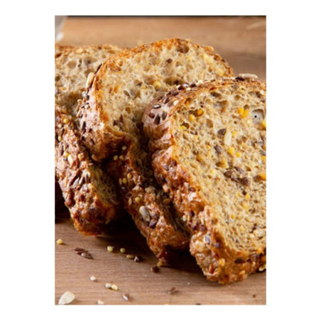 L'original pain tranché Energus10 500 g sous at.