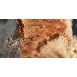 Semoule de blé dur de type moyenne 850g