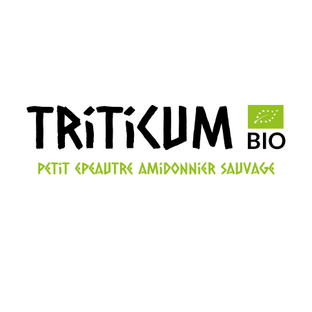 Triticum