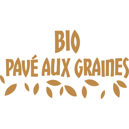 Bio Pavé aux Graines